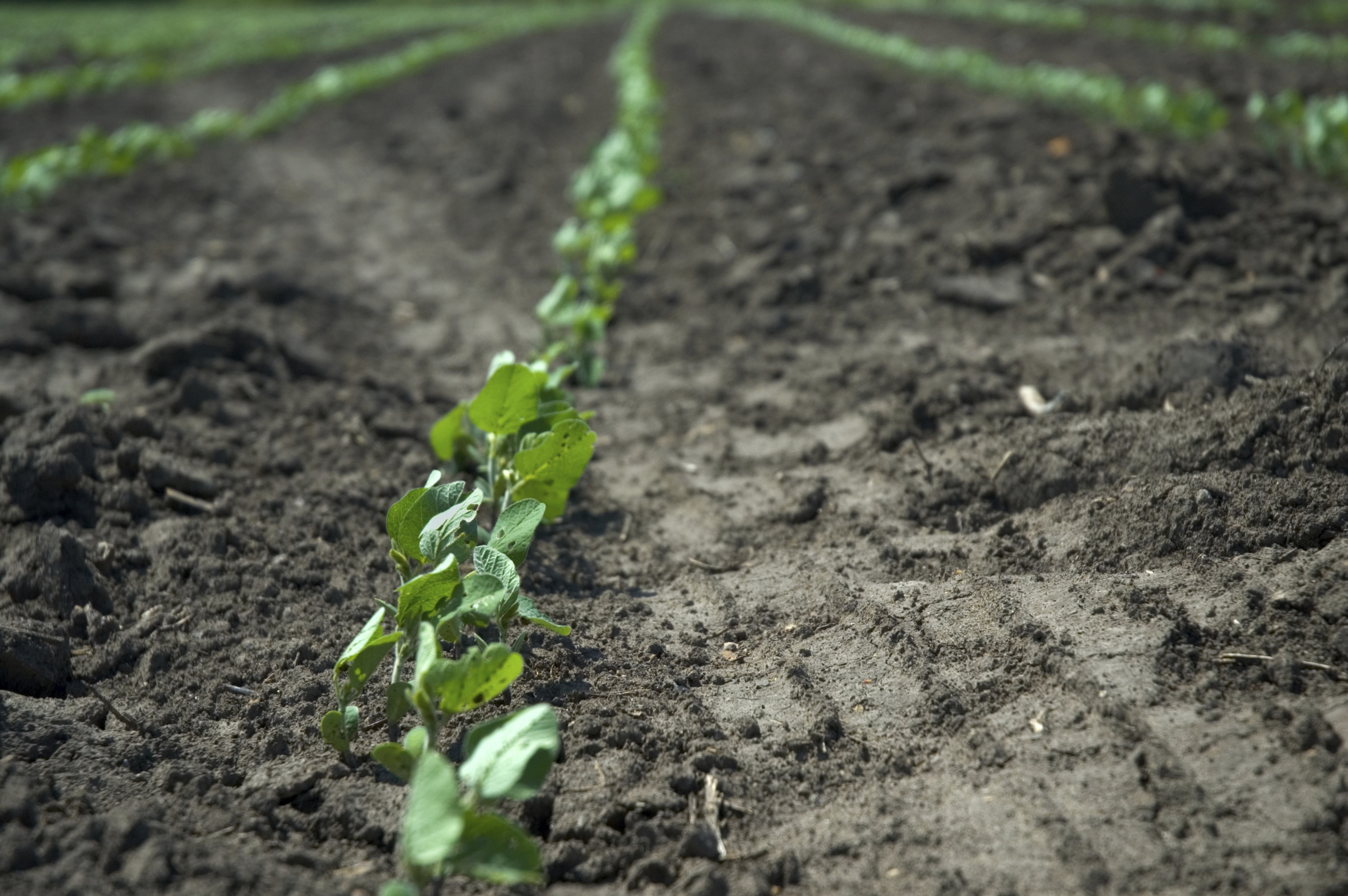 APPLYING NEW HERBICIDES RESPONSIBLY